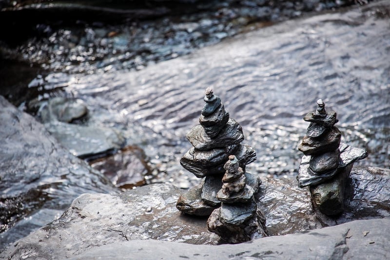 Meditation Workshop