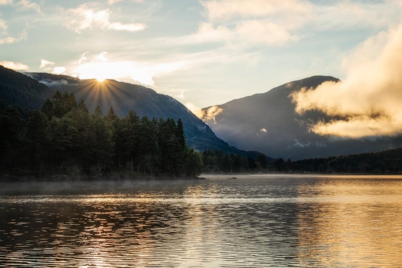Meditation and Mindfulness